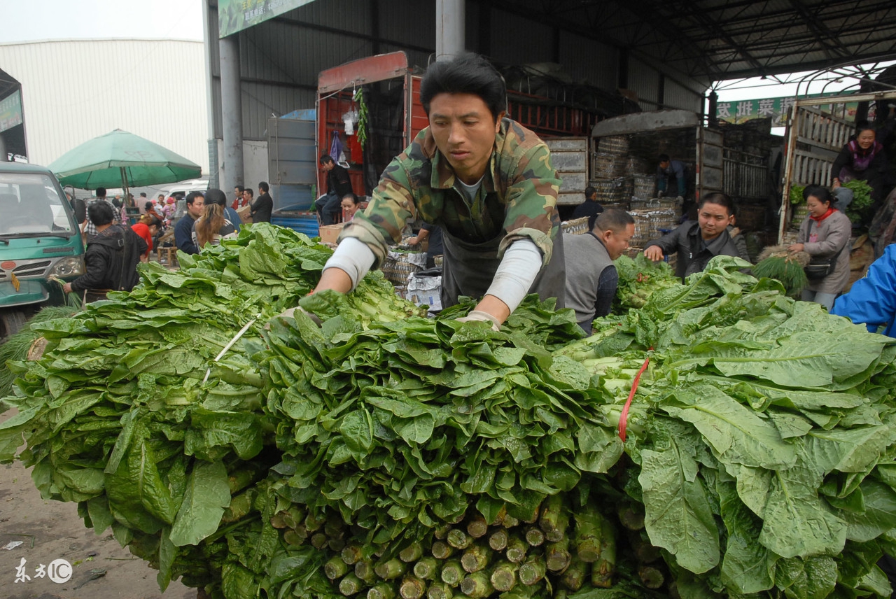 农产品批发市场未来前景,我国农产品批发市场经营范围包括