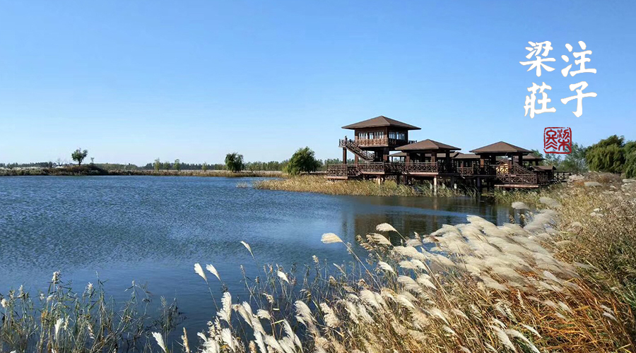 梁冬谈孩子心理 (梁冬该怎么培养孩子)