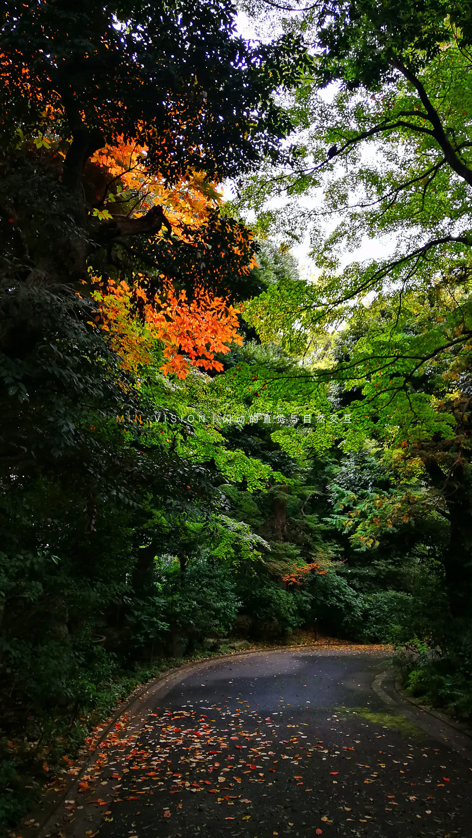 去东京玩用什么攻略,东京攻略东京