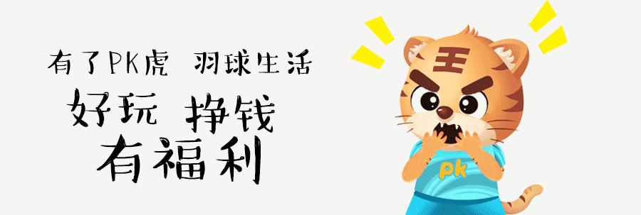 球拍广告,羽毛球拍中杆最细的球拍