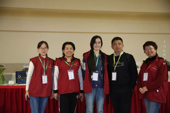 公认最美4种多肉植物图片,2014年上海多肉植物展图片