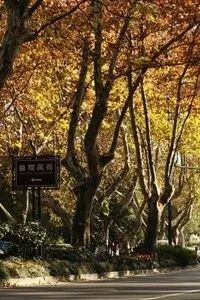 苏州南京杭州七日游,苏州南京上海杭州自由行旅游攻略