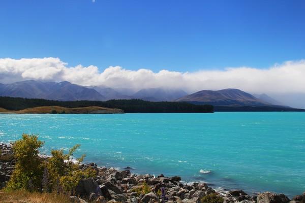 新西兰南北岛10天之旅,自驾游新西兰南北岛攻略