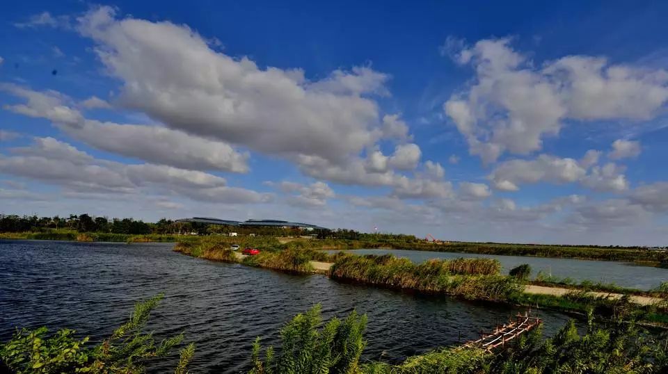 上海松江未来地铁线路图2025超清,上海各区旅游地铁线路图