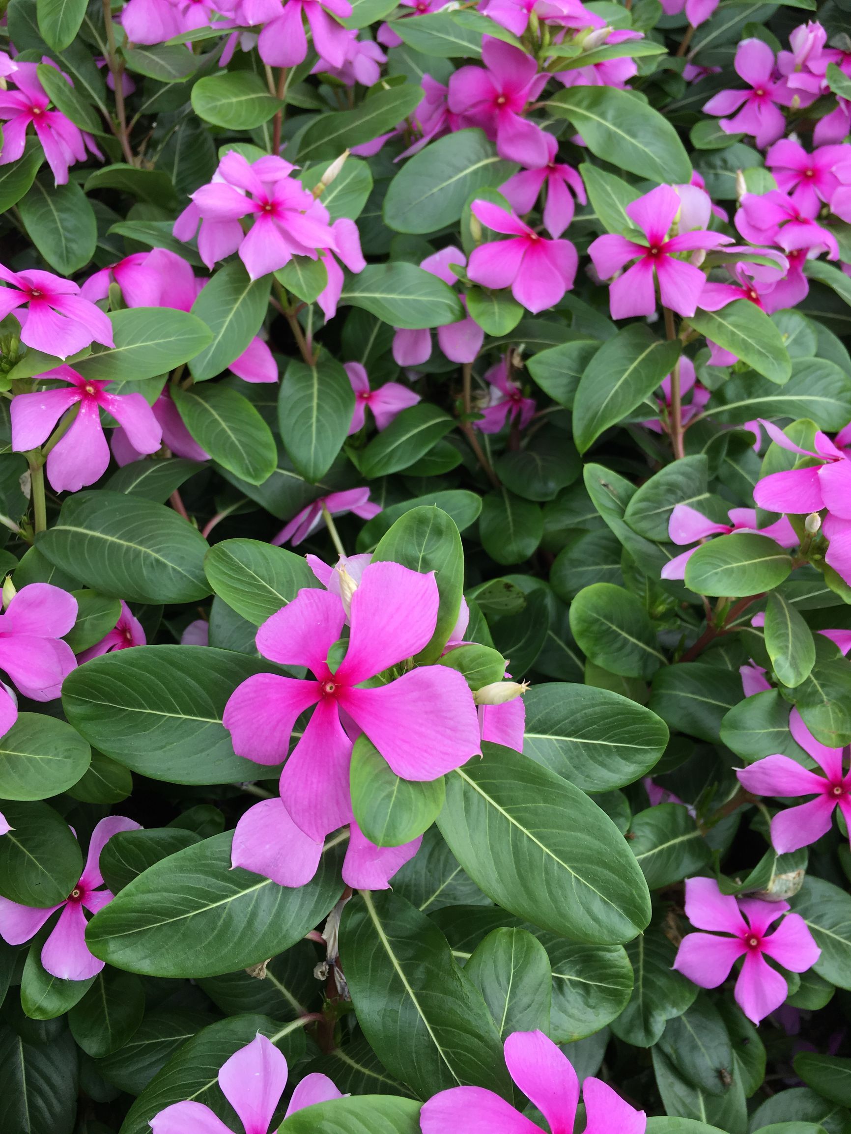 应聘线上销售怎么面试,面试互联网线下运营