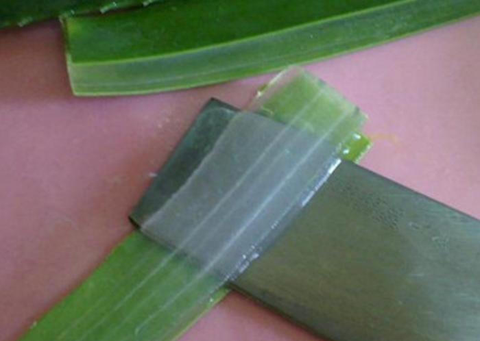 养一盆好养活又好看的花,牙疼养什么花最好