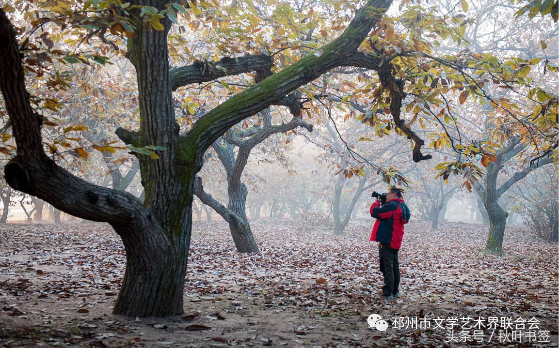2017杏会邳州｜山东·王统武：邳州美景摄影作品欣赏