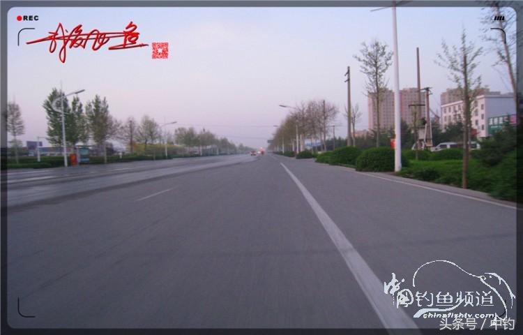 朋友相聚钓罗非,好友们相约一起钓鱼视频