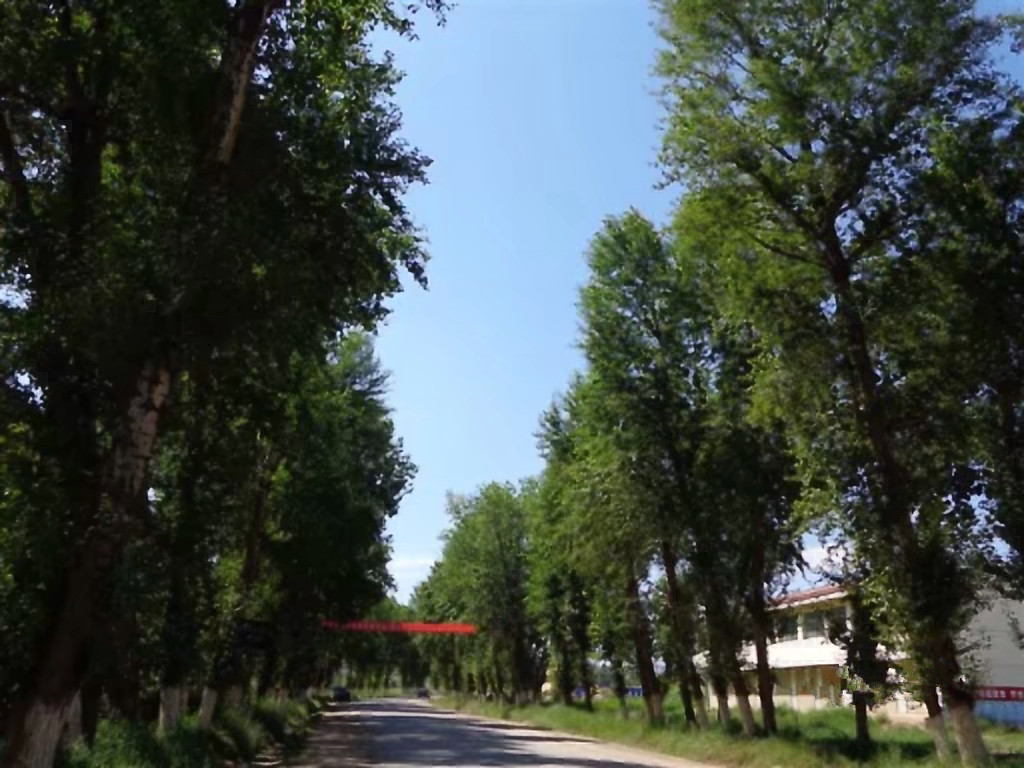 甘肃赏田园风光感受乡村魅力,甘肃渭源风景图片大全