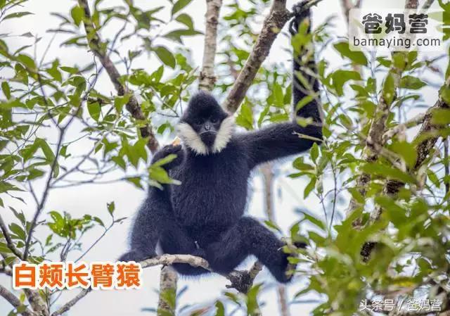 江浙沪十佳亲子酒店,适合亲子酒店推荐