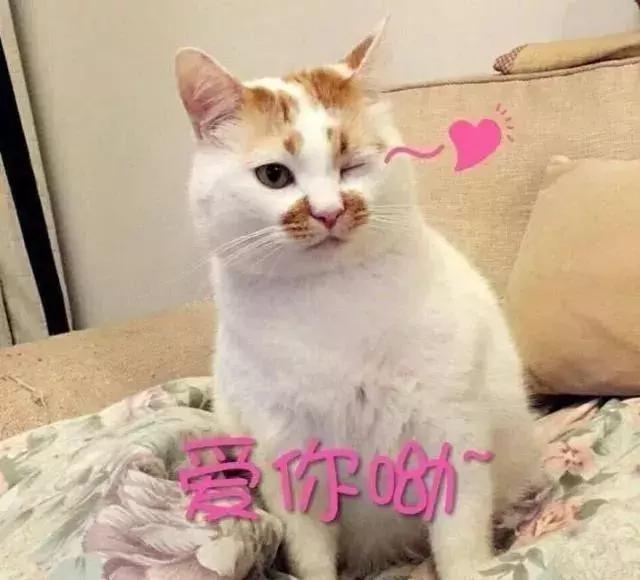 懒人睡眠补水面膜,懒人睡眠面膜好用推荐知乎