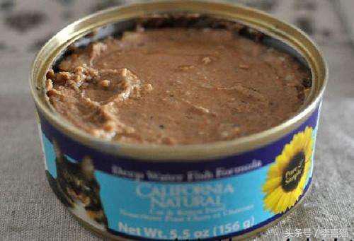 猫咪罐头怎么吃最正确,什么样的猫咪罐头比较好