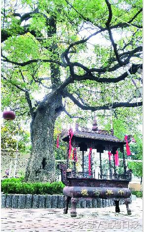 李氏家风27条,李姓家风故事