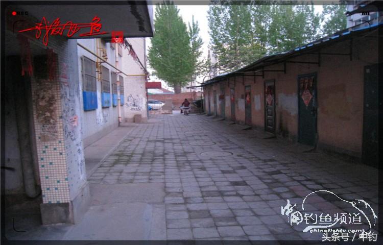 朋友相聚钓罗非,好友们相约一起钓鱼视频