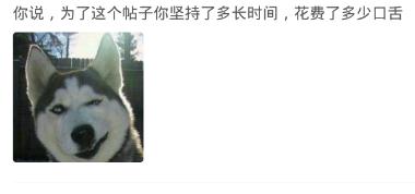 你qq上有多少个火花？网友：孤独的人不需要火花