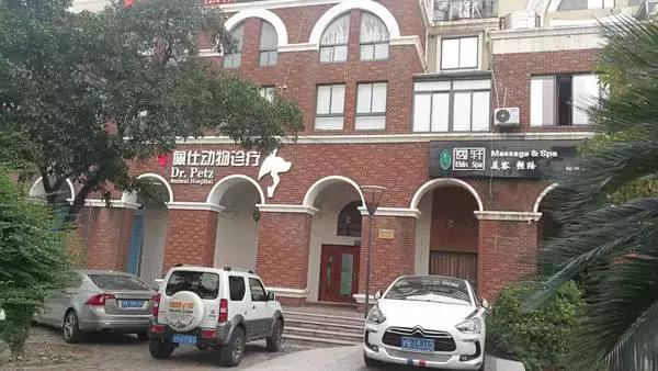 中国为什么没有正规的宠物医院,国内靠谱的宠物医院
