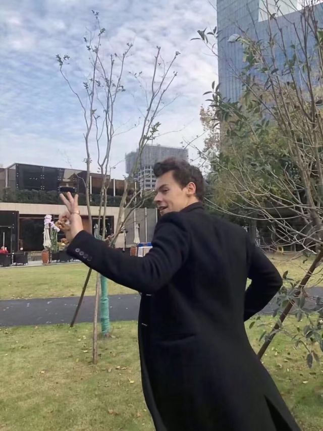 此腿只应天上有，我等凡人且看且珍惜