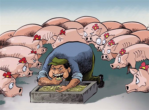 被女友骗进传销电视剧,被女友骗到传销里电视剧