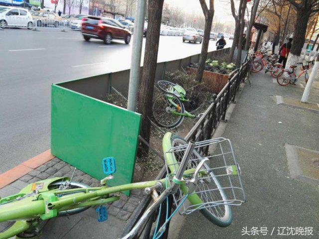 酷骑经典款和发光款,酷骑新款和老款