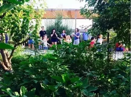 如果你的农庄是凤姐，如何把它打造成范冰冰？（附农庄改造案例）