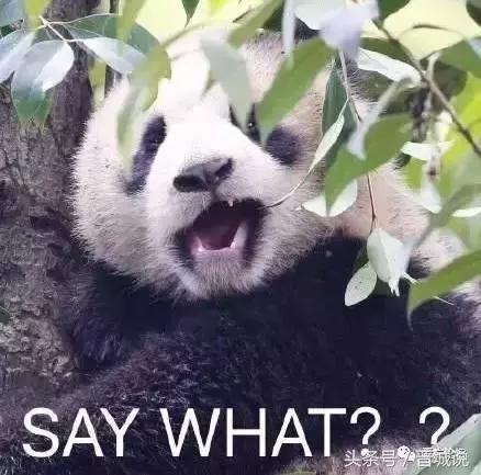 晋城人请说晋城话,晋城人爱说晋城话抖音