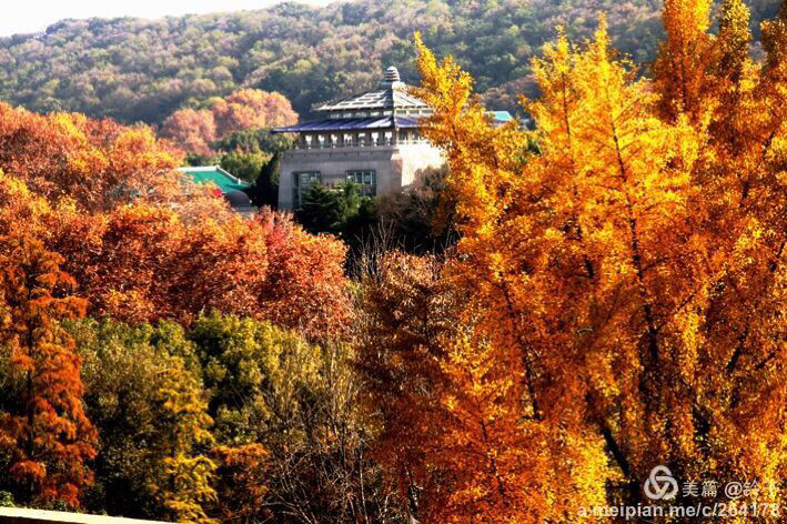 十大最美校园深圳大学,探访最美大学武汉大学
