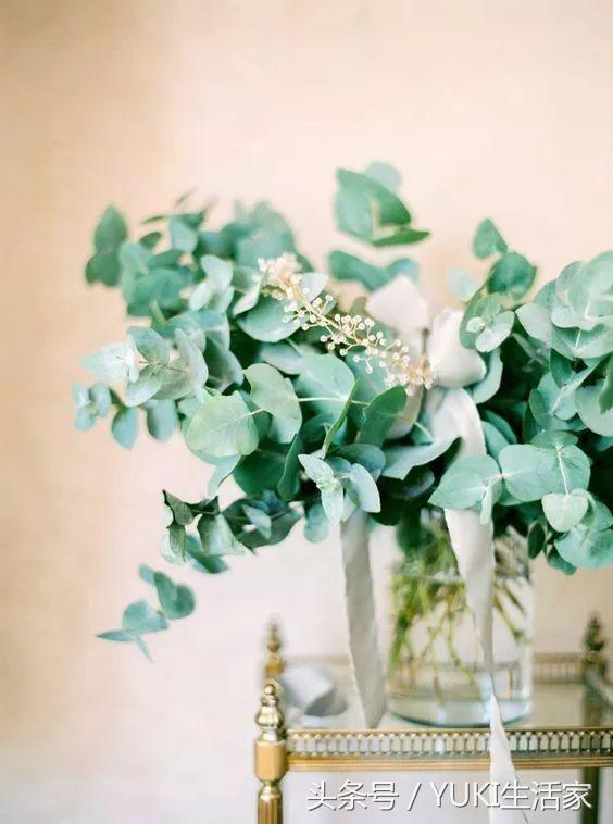 pantone2018,pantone2018年流行色是什么