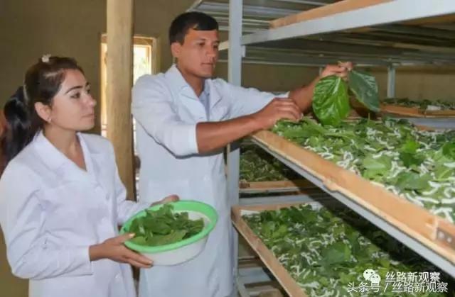 盘点2017年中乌外交25个大事件