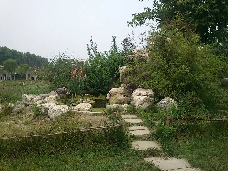 郫都区附近的农家乐和休闲农庄,郫都妈妈农庄照片