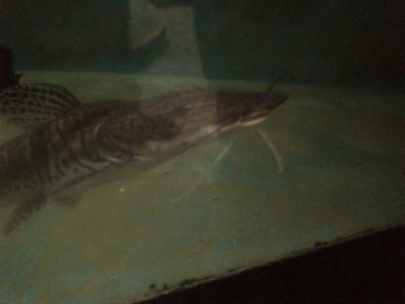 成都除了国色天香欢乐谷还有哪些,成都国色天香乐园好还是欢乐谷好