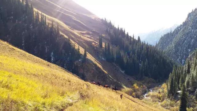 乌孙古道天堂湖在琼库什台吗,乌孙古道天堂湖到黑英山多远