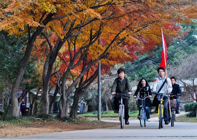 十大最美校园深圳大学,探访最美大学武汉大学