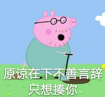 刘耀文小猪佩奇表情包,小猪佩奇燃烧吧我的青春表情包