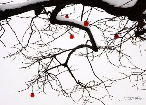 白里透红美颜,白里透红娇颜