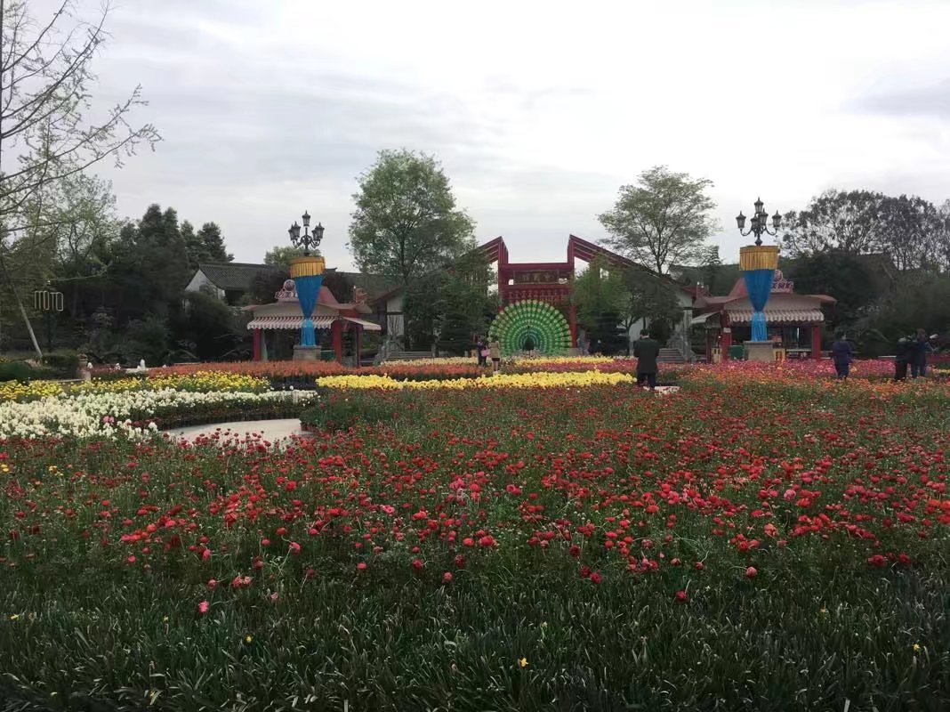 成都除了国色天香欢乐谷还有哪些,成都国色天香乐园好还是欢乐谷好