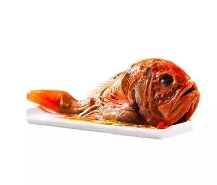 为什么深海鱼都长那么丑,深海鱼为啥都很丑