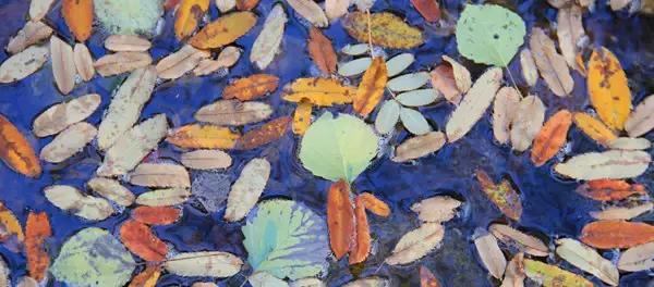 深圳高铁能到的旅游城市,深圳高铁1小时到的风景区