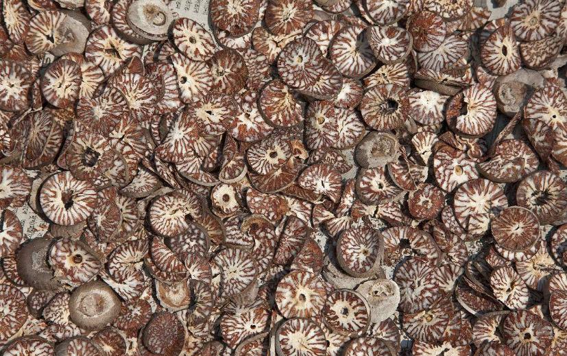 哪些香料可以锁住卤菜的香味,卤菜除异味最好的香料