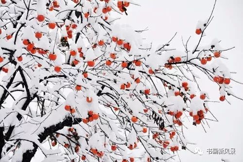 白里透红美颜,白里透红娇颜