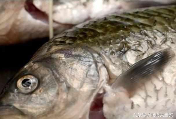 炖鱼的4个最简单方法,这才是炖鱼的正确方法