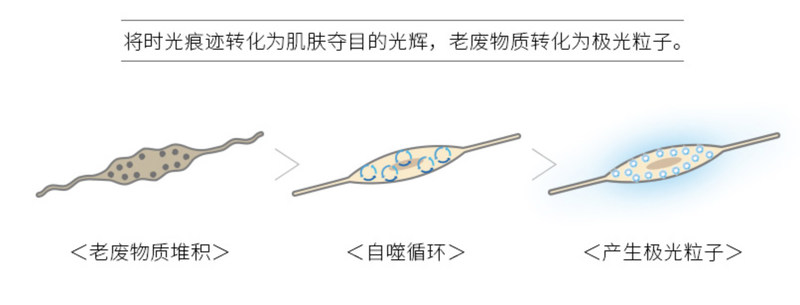 日本pola补水保湿,日本原装进口护肤品pola