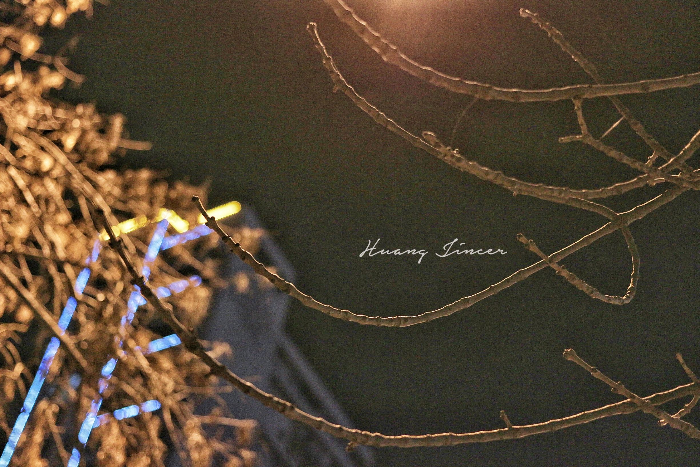 扫街神器相机,佳能相机扫街视频