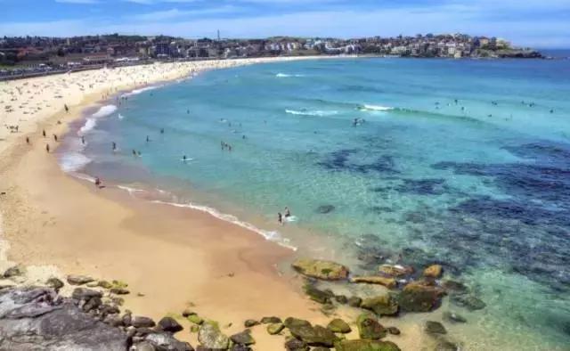 新南威尔士大学机器人,新南威尔士大学羽毛球校队