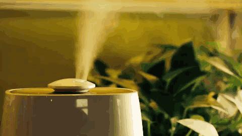 瀹堕噷鏈夋病鏈夌敤鍔犳箍鍣ㄧ殑蹇呰 (瀹堕噷鏈夊姞婀垮櫒鐨勪汉娉ㄦ剰杩欎簺)