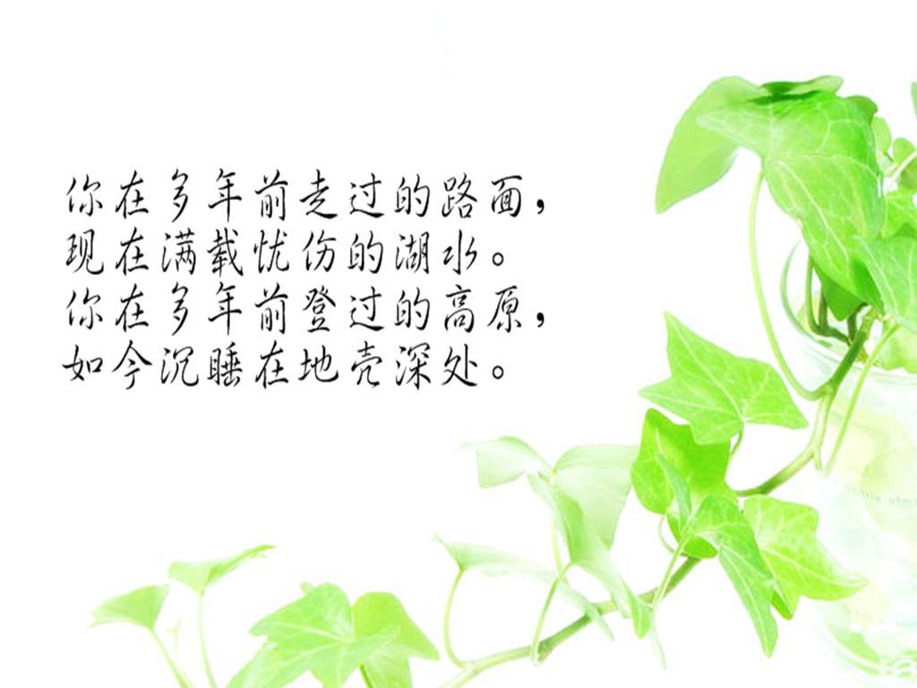 我恋着漫天纷飞的白雪,盼望着与你一路携手直到白头