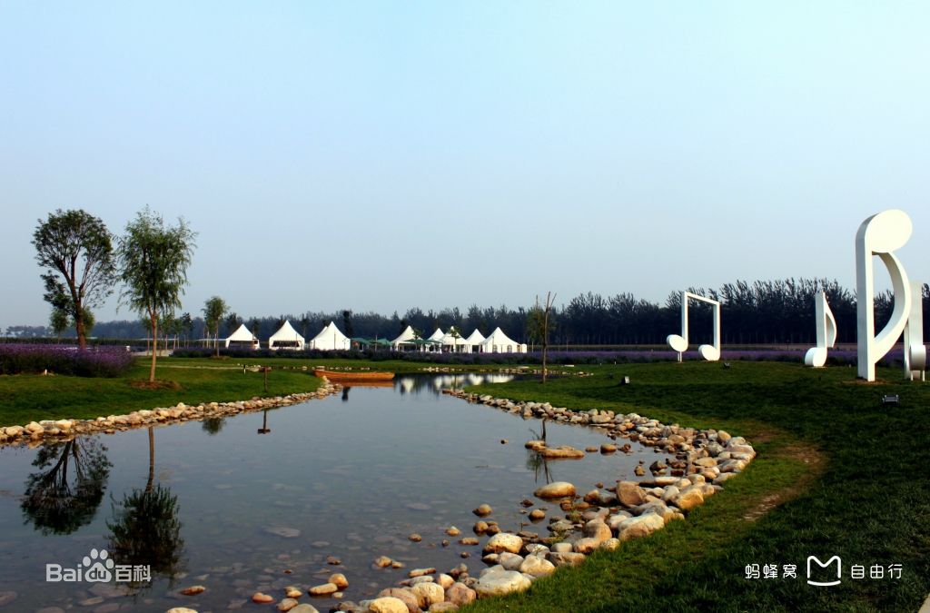 蓝调薰衣草庄园官网,蓝调薰衣草庄园别墅