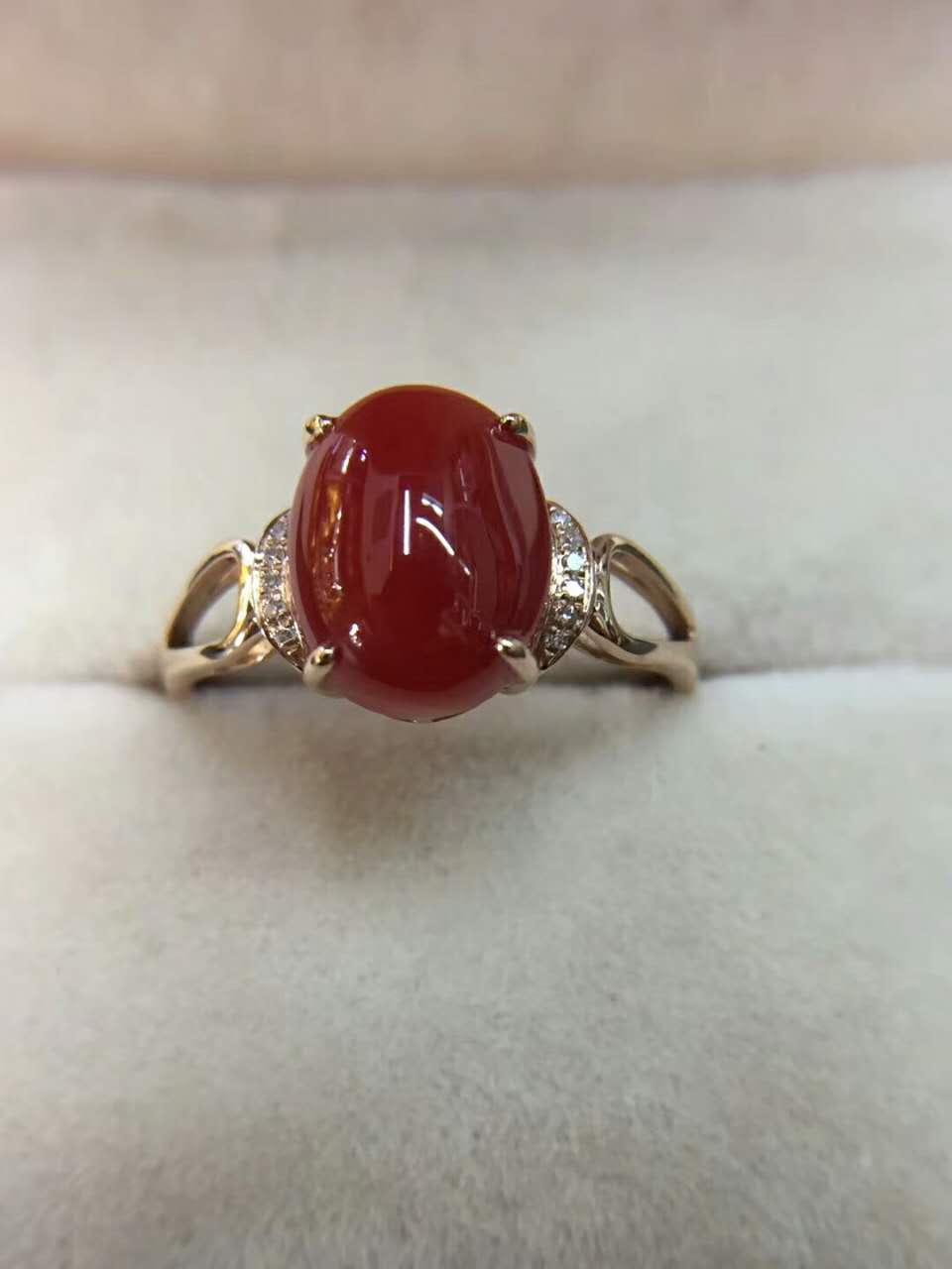 最真实的红珊瑚,这才是真正的红珊瑚