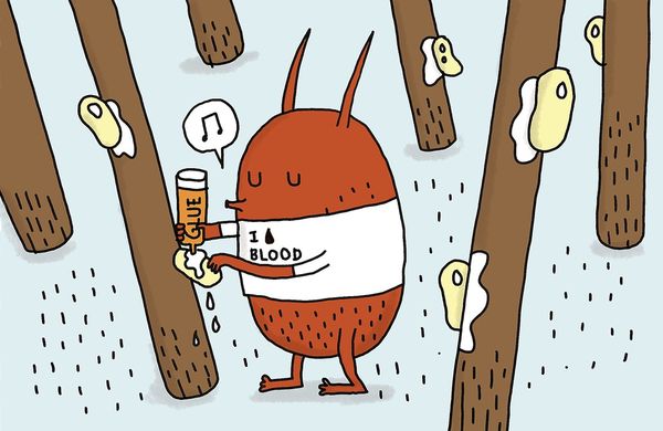 孩子长虱子是怎么回事啊,小孩长虱子了怎么办