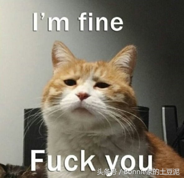 敏感肌肤泛红爆痘用什么面膜,敏感痘痘修复便宜水乳