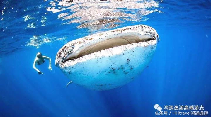 直飞新航线,国内开通直飞延吉的航线